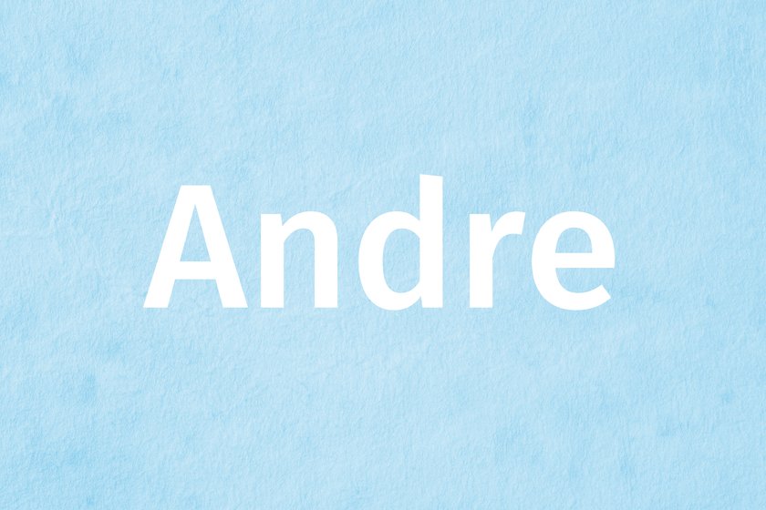 #11 Andre