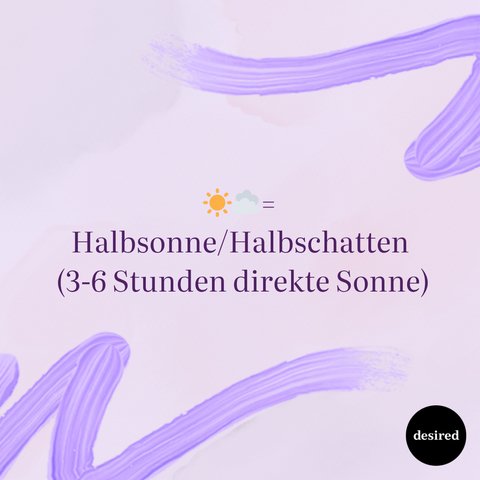 Sonne, Regentropfen & Co.: Was bedeuten eigentlich die Symbole auf  Pflanzentpfen?