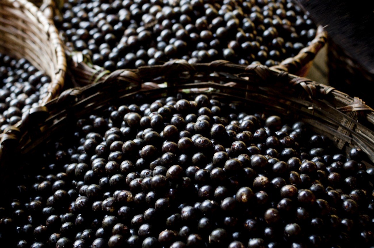 Acai Acai