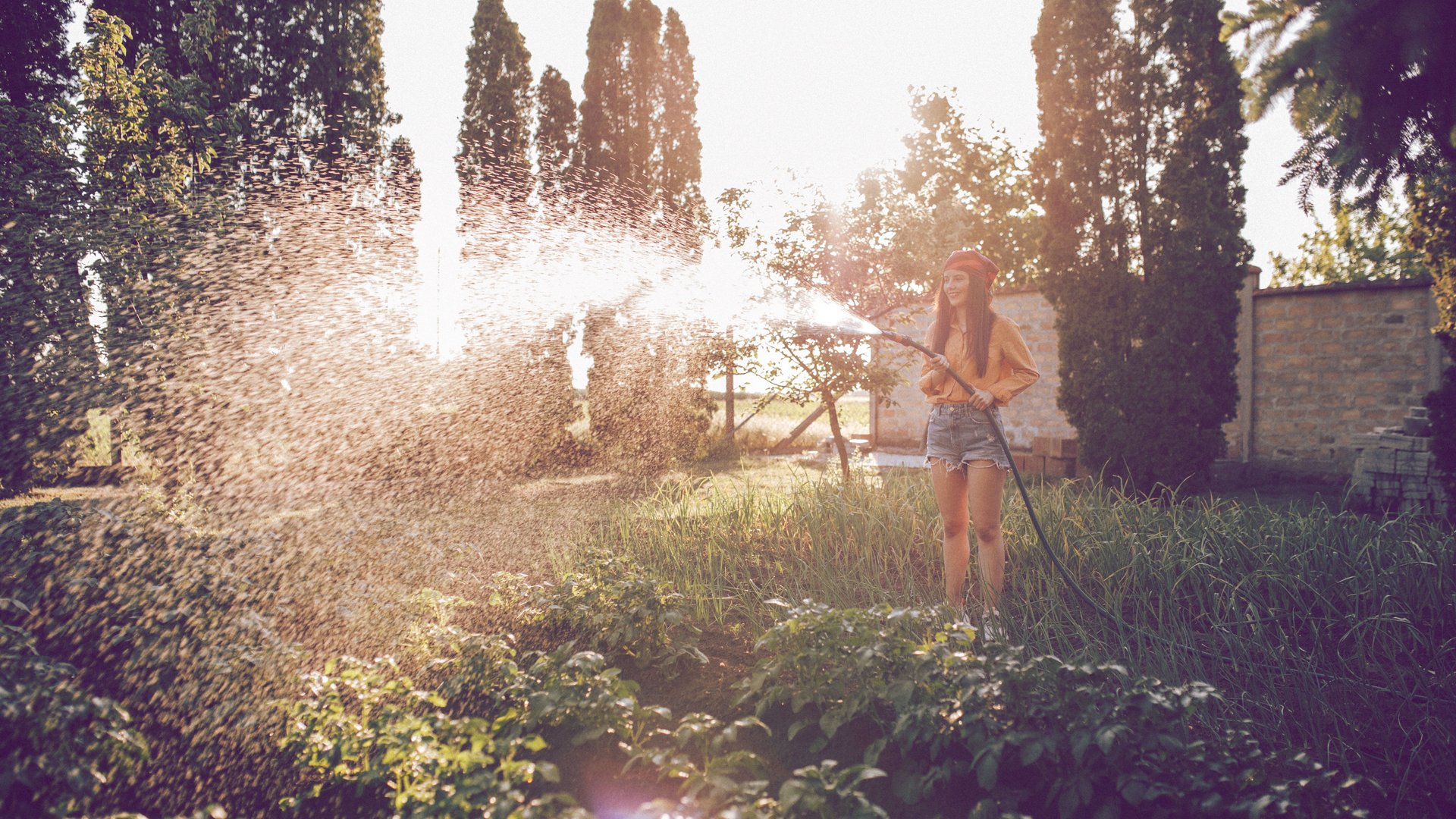 6-Dinge-die-du-bei-Hitze-jeden-Tag-im-Garten-machen-solltest