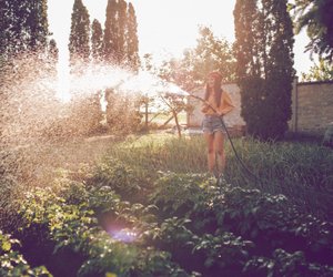 6 Dinge, die du bei Hitze jeden Tag im Garten machen solltest