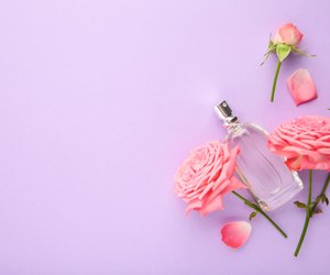 Jetzt bei Rossmann: Das sinnliche Parfum mit zarter Vanille-Note