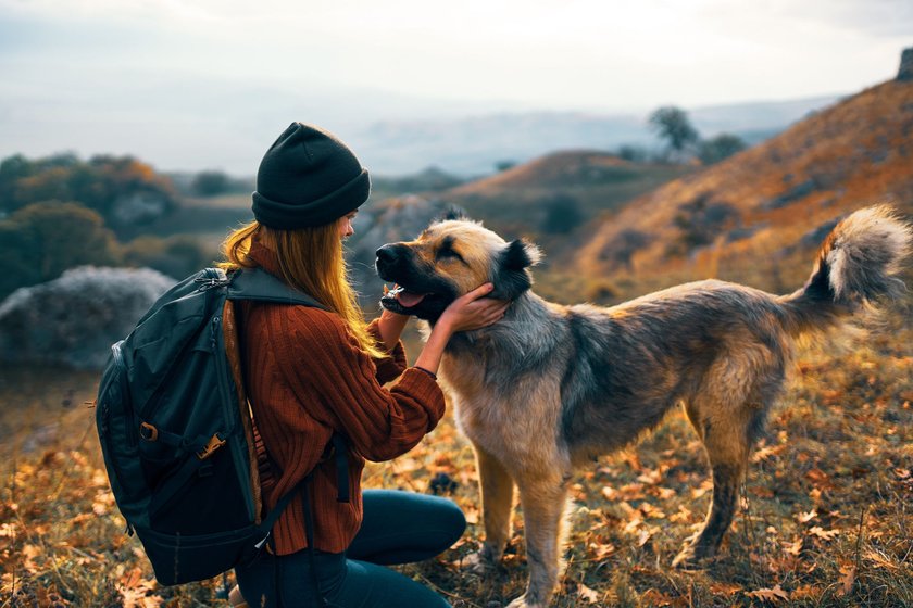 woman next to a dog outdoors vacation friendship. High quality photo