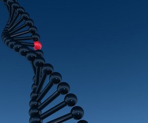 Genetische Ursachen der Unfruchtbarkeit erkennen