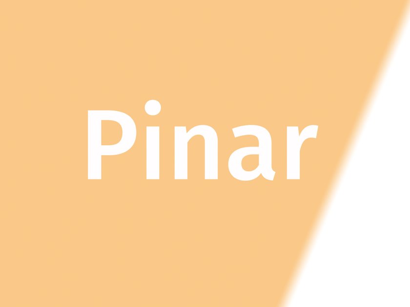 Name Pinar