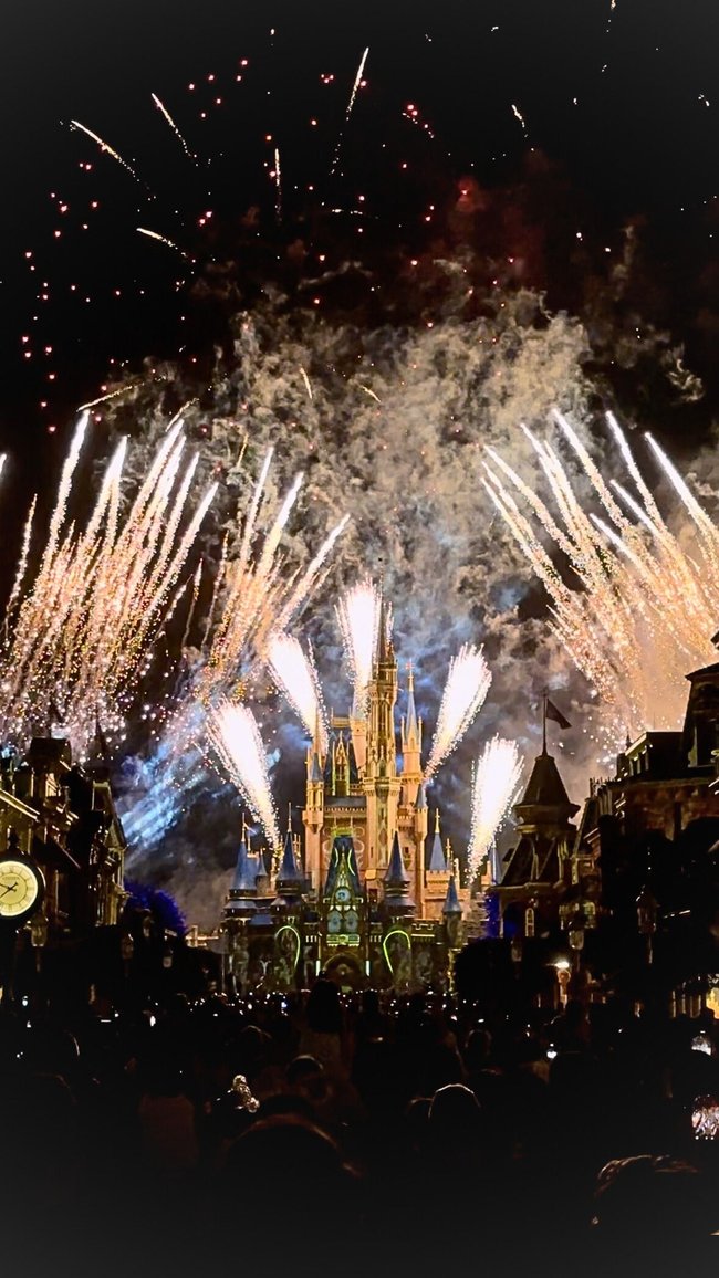 Walt Disney World Schloss Feuerwerk