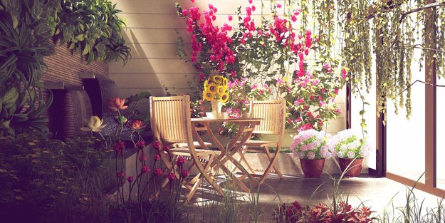 Diese fünf Kübelpflanzen sind perfekt für deinen sonnigen Balkon