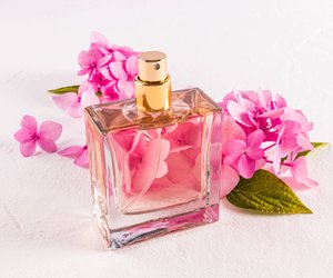 Vanille und Sandelholz: das opulente Parfum für den Winter