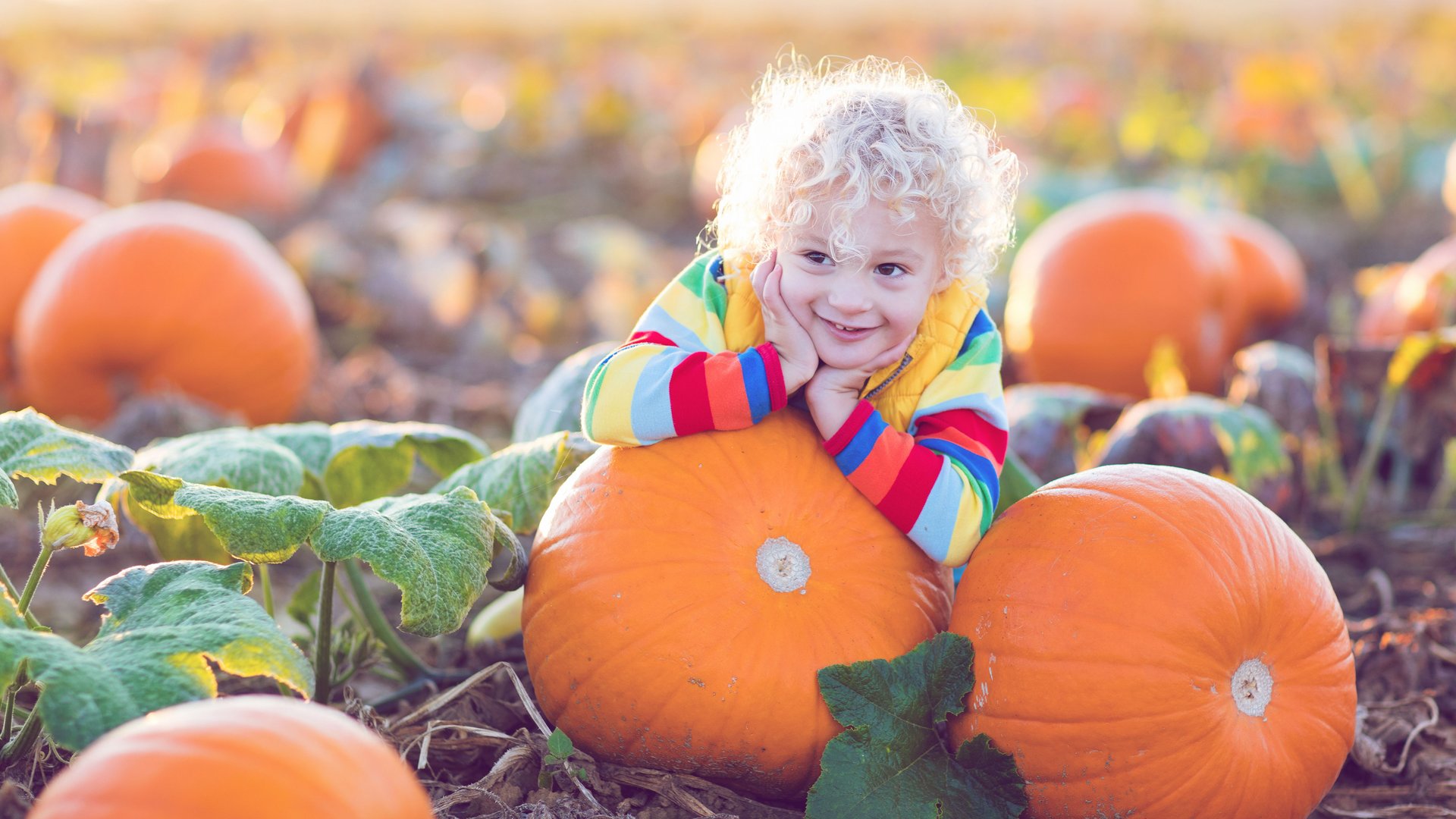  Erntedank im Kindergarten: So begrüßen wir den Herbst 