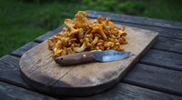 Pfifferlinge waschen: Mit diesem Trick werden sie sauber
