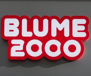 Die 13 schönsten Balkonpflanzen von Blume2000 für den Herbst