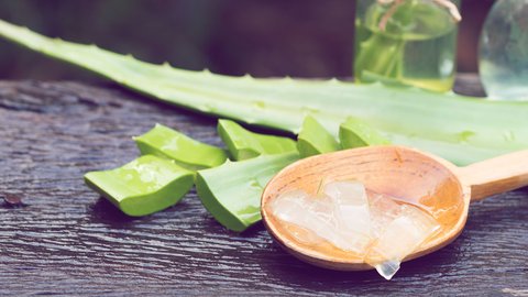 Aloe Vera Gel selber machen - so einfach geht's
