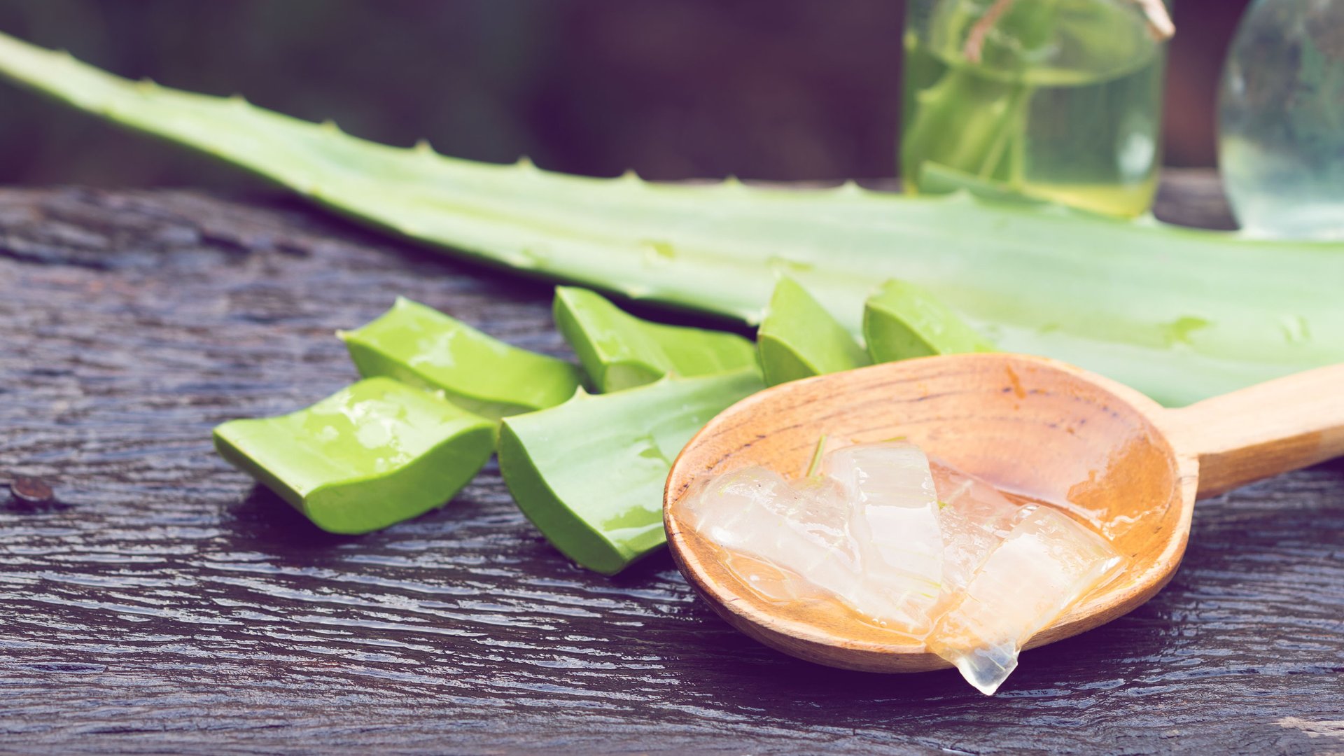Aloe Vera Gel selber machen so einfach geht's