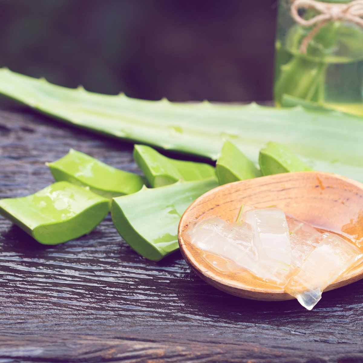 Aloe Vera Gel selber machen - so einfach geht's