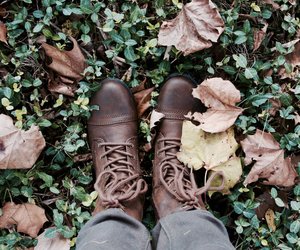 Laub harken: Mit dieser Methode geht es schnell und effektiv