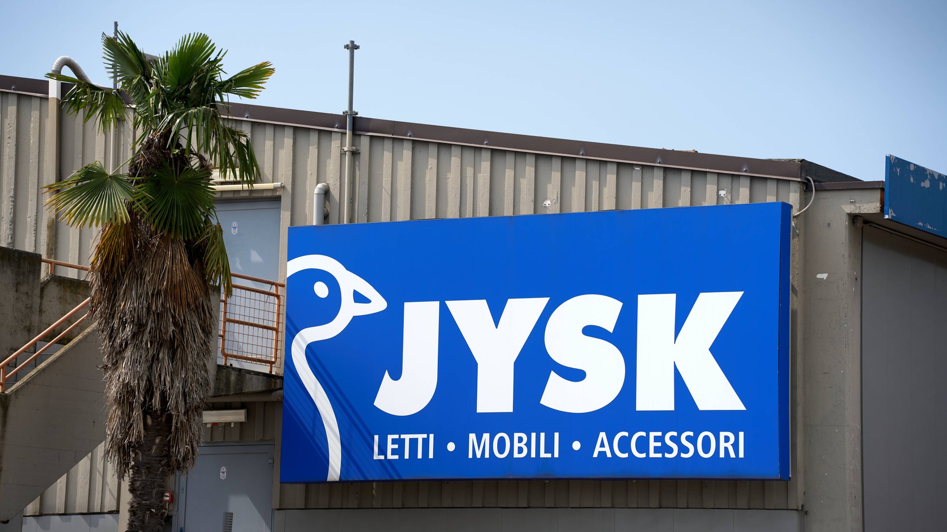 Stilvoll-dekorieren-So-wird-die-Vase-von-Jysk-zum-Highlight-in-deinem-Zuhause