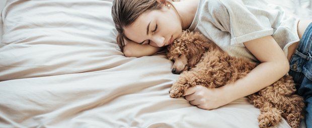 Dein Hund schläft auf dem Rücken? Das verrät dir die Schlafposition über deinen Hund