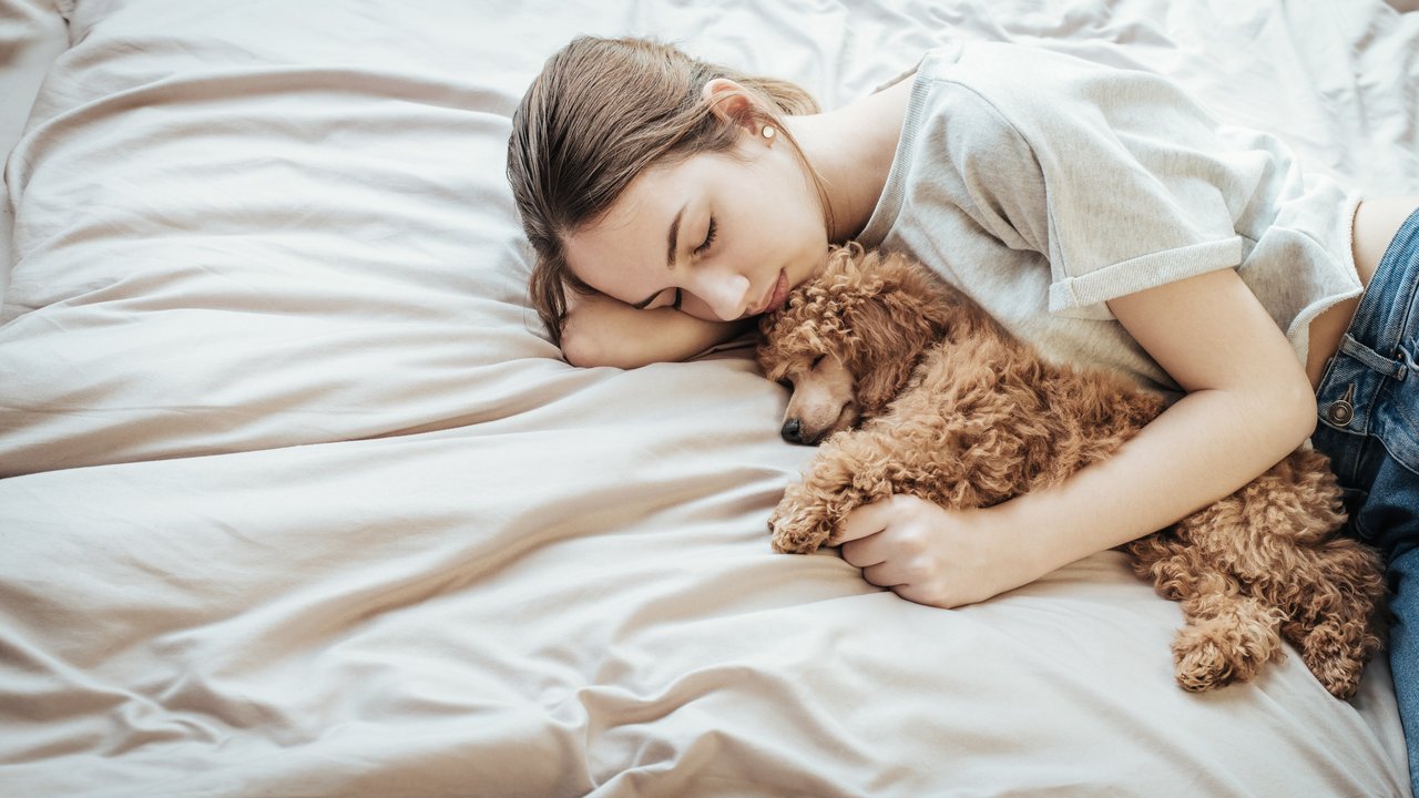 Frauen schlafen besser neben Hunden als neben Männern