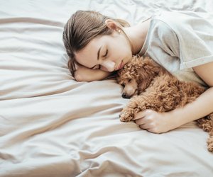 Alle Pfötchen in der Luft: Schläft dein Hund so, will er dir Folgendes sagen