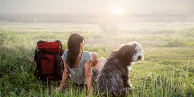 Diese hundefreundlichen Wanderwege in Thüringen sind ein Muss für dich und deinen Vierbeiner