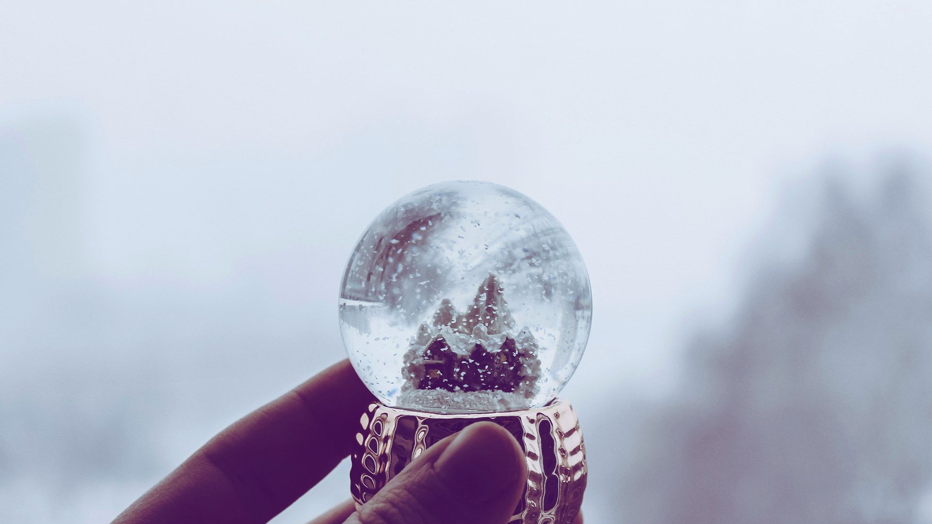 Mit-dieser-Amazon-Schneekugel-holst-du-dir-echten-Weihnachtszauber-ins-Haus