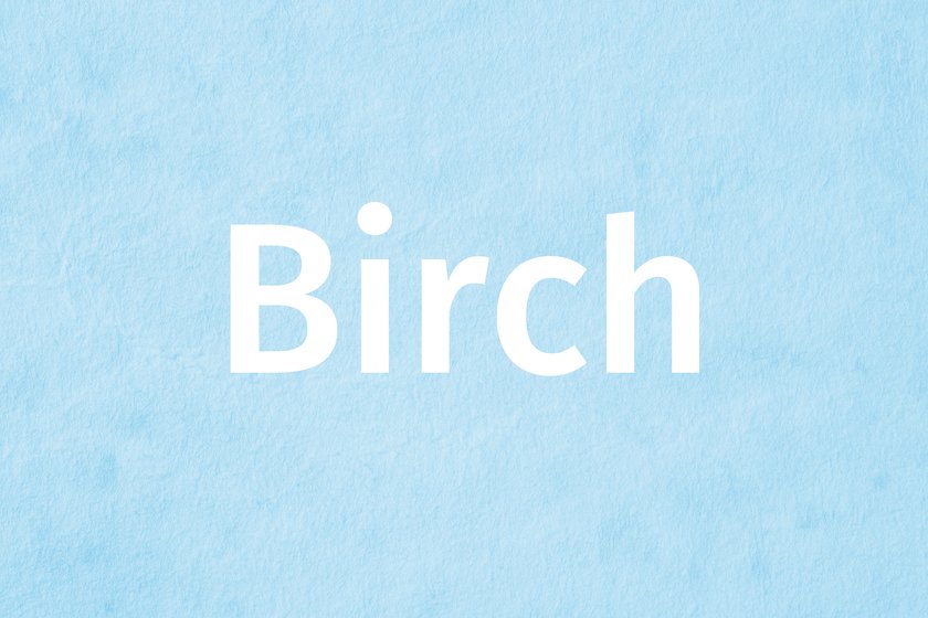 #10 Sommer-Jungenname: Birch