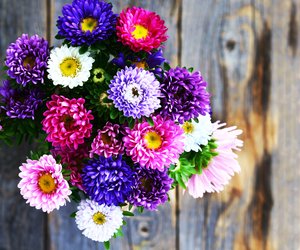 Floristin werden: Voraussetzungen für dem Traumberuf mit Blumen