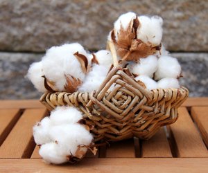 Größenstabil durch den Waschgang: Geheimtipps für deine Baumwollkleidung