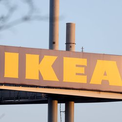 Ganzjähriger Frühlingszauber: Der beliebte bunte Deko-Zweig von Ikea begeistert alle