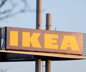 Richtig beliebt: Der bunte Deko-Zweig von Ikea sorgt das ganze Jahr für Frühlingsgefühle