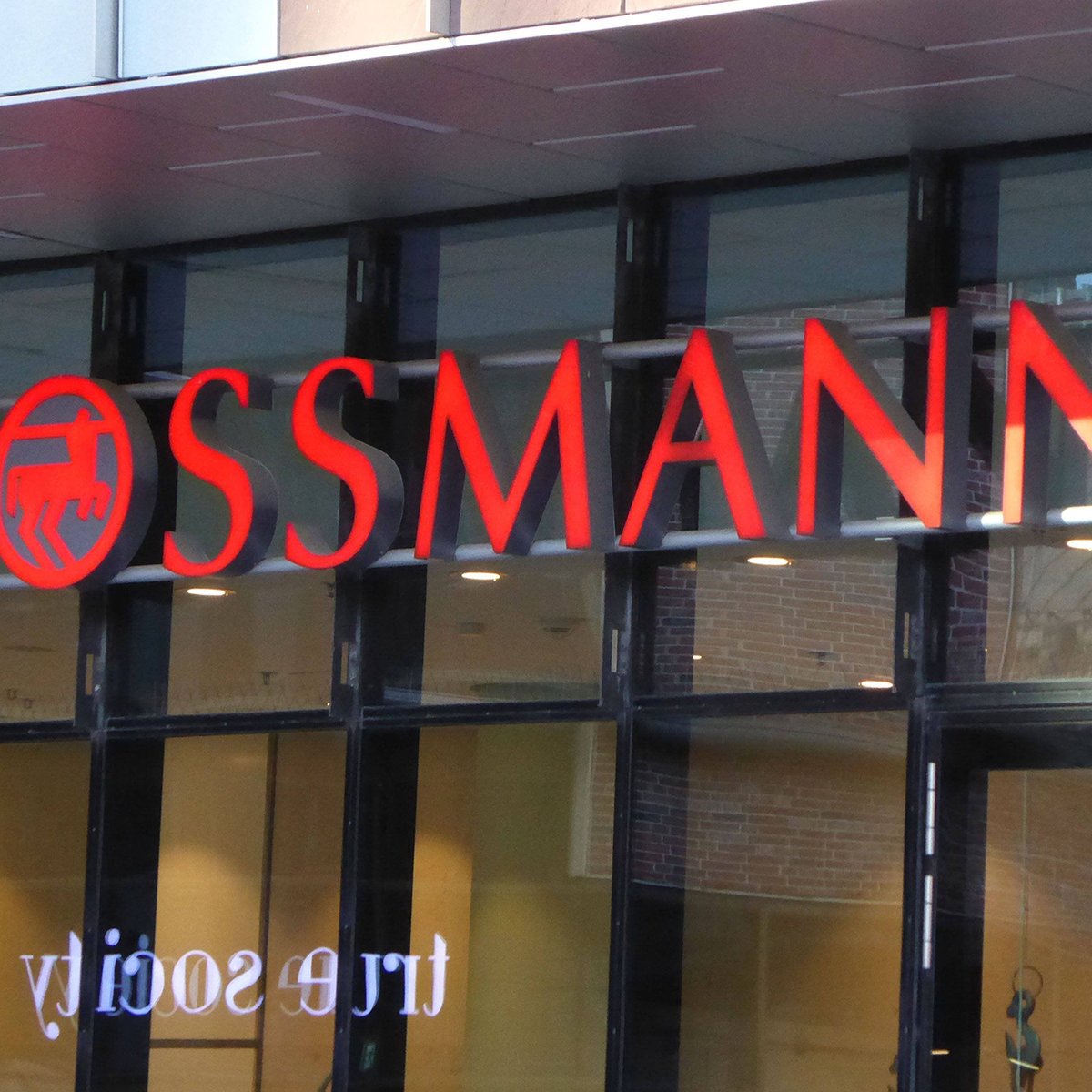 Weihnachtsbeleuchtung bei Rossmann: Diese schnen Teile kosten alle unter  15 Euro