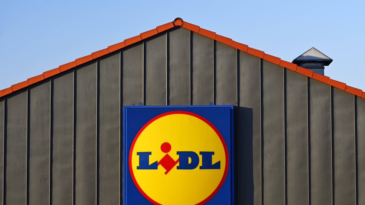 Mit Lidl kannst übers Jahr ganz unterschiedliche Pflanzideen umsetzen und schon im Frühling damit beginnen. 