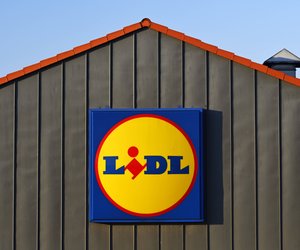 Ein Must-have für deinen Garten: Der beliebte Pflanzkasten von Lidl