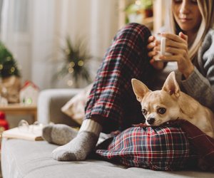 Winterzauber fürs Sofa: 4 weihnachtliche Kissenhüllen von Ernsting’s family für Cozy-Vibes