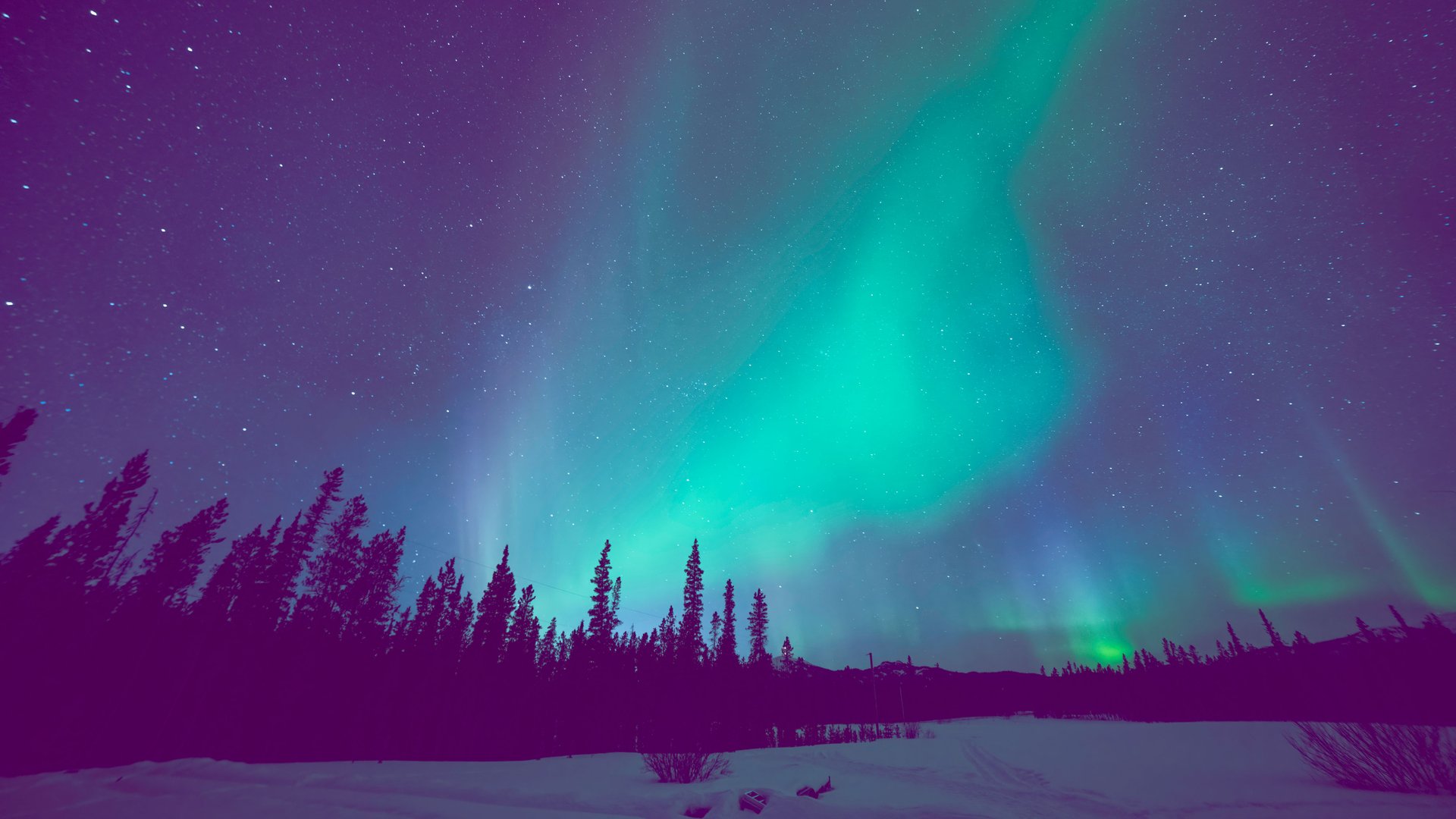 Du-willst-Polarlichter-sehen-Diese-Winter-Reiseziele-lohnen-sich-laut-Experten-