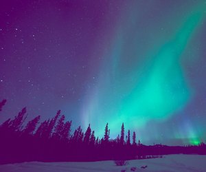 Du willst Polarlichter sehen? Das sind die besten Winter-Reiseziele dafür (laut Experten)