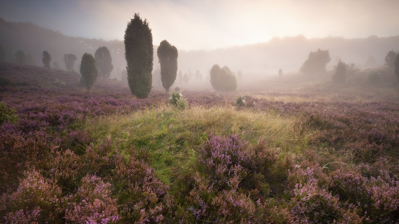 Zwei Leichen scheinen noch immer im Dartmoor versteckt zu liegen.