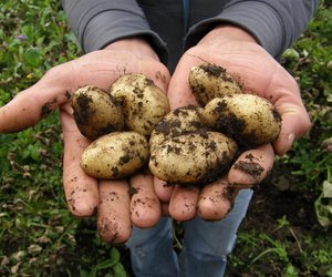 Praktisch und dekorativ: Dieser Aufbewahrungskasten von Tchibo passt perfekt in dein Zuhause