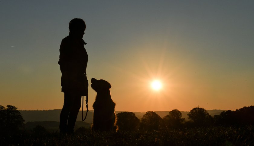 Herbst mit Hund: Tolle Ideen, was du mit deinem Liebling machen kannst