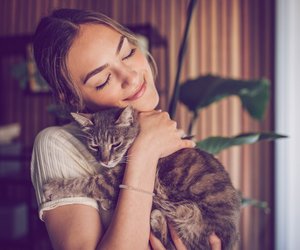 Diese&#x20;3&#x20;Sternzeichen&#x20;haben&#x20;eine&#x20;besondere&#x20;Katzen-Aura