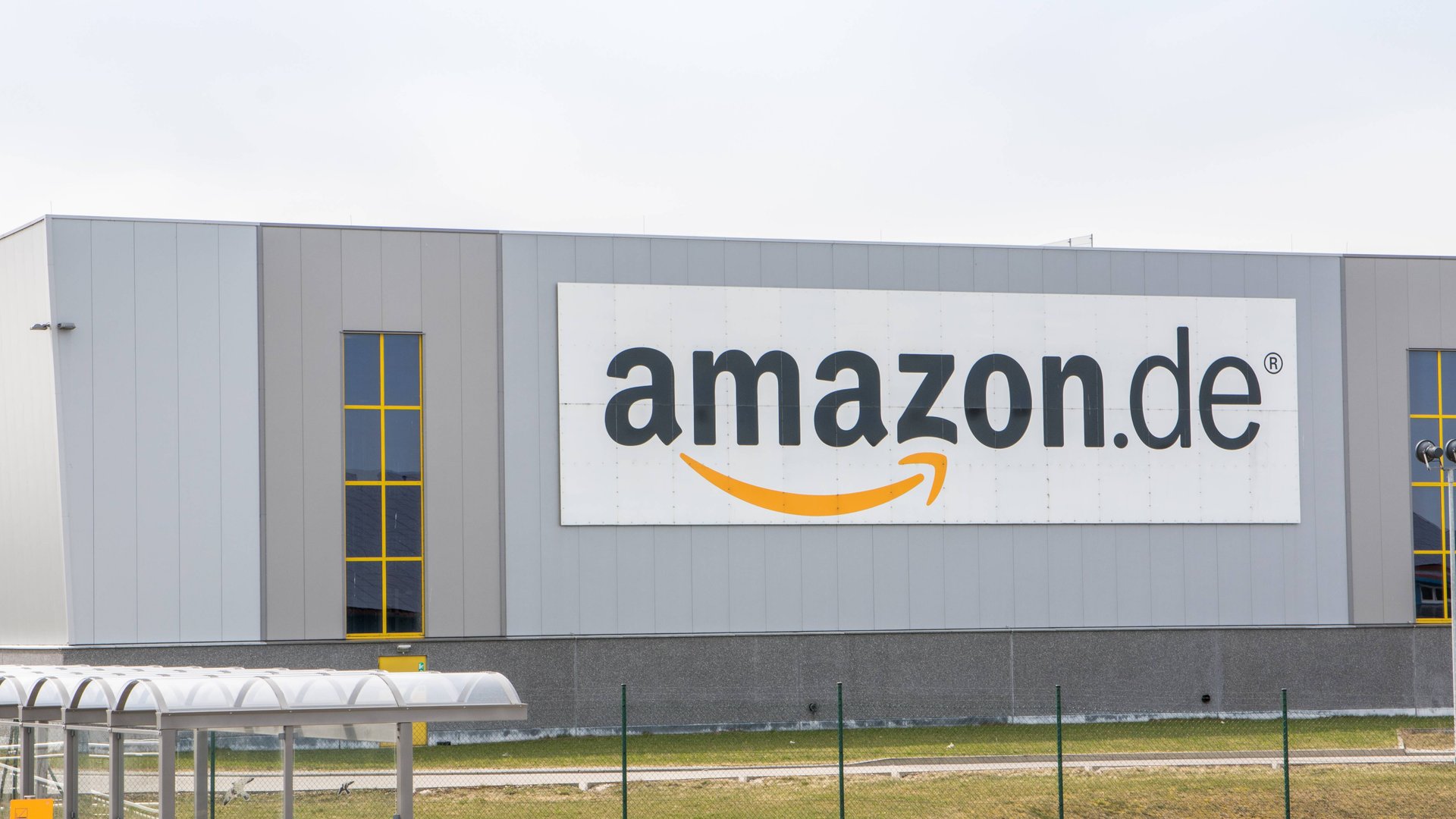 Bei-Amazon-entdeckt-Mit-diesem-Bestseller-Gadget-entfernst-du-Tierhaare-von-Bett-und-Co-