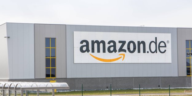Tierhaare auf Sofa und Bett? Mit dem Bestseller-Gadget von Amazon sind sie leicht entfernt