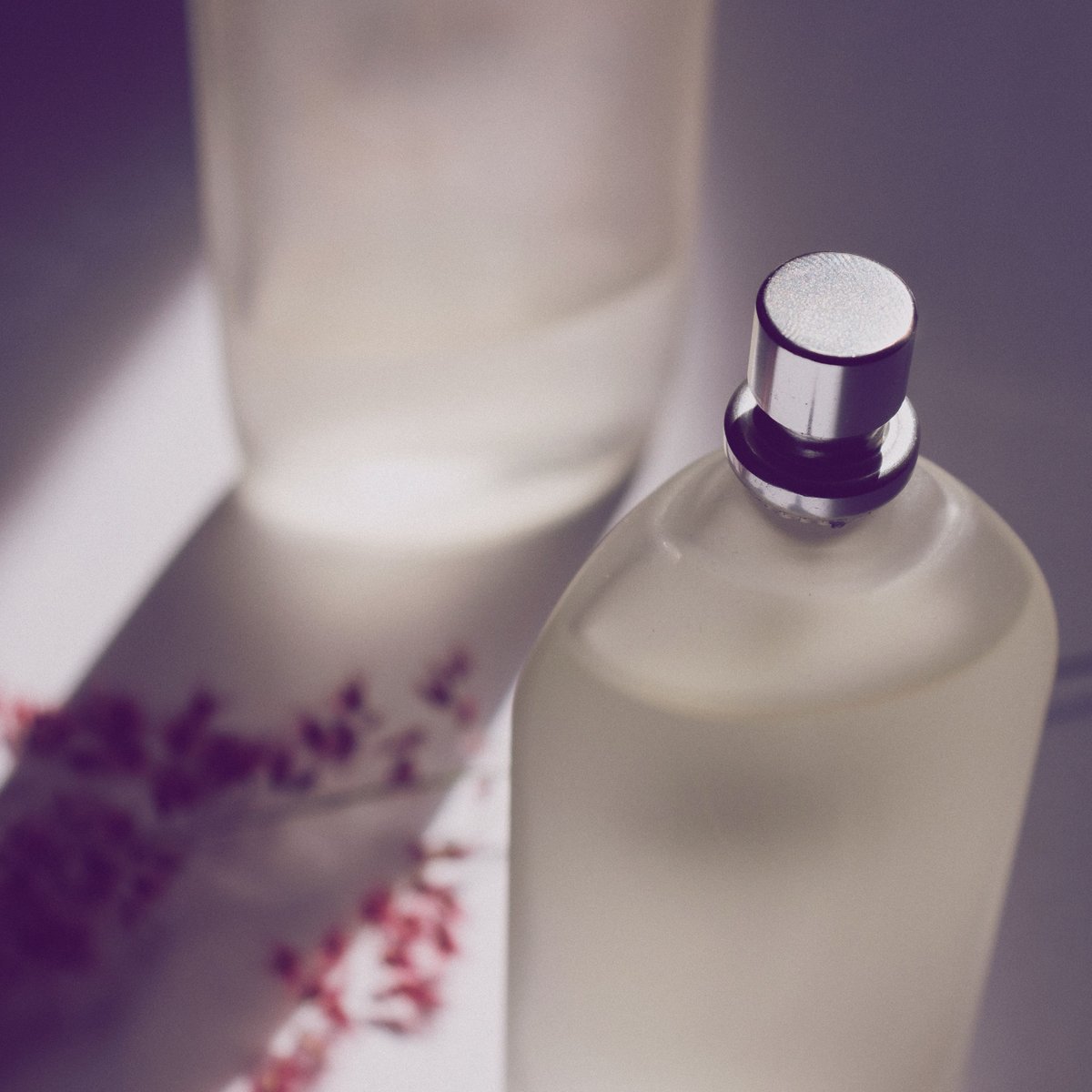 Wir lieben diese dm-Parfums – weil sie günstig sind, aber wie total teure Düfte riechen