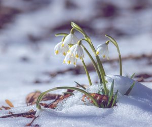 Bis zu 1,5 Meter Neuschnee: Mitten im März heißt es Winter statt Frühling!