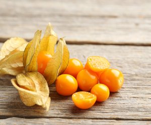 Physalis essen: Alles Wichtige über die Frucht