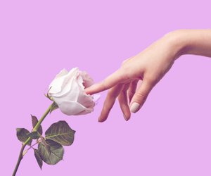 Immer nur Blümchensex? So kommt neuer Schwung in dein Liebesleben