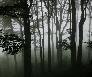 Eine Nacht des Grauens: Fitzek-Fans lieben diesen düsteren Thriller-Bestseller