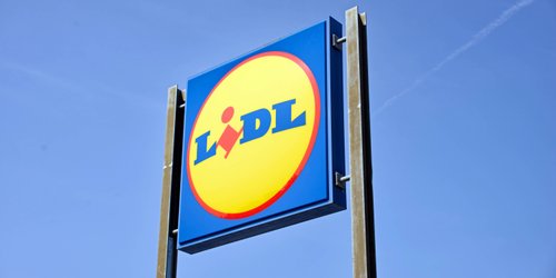Vom Geheimtipp zum Hundehit: Dieses Outdoor-Spielzeug von Lidl begeistert vierbeinige Abenteurer