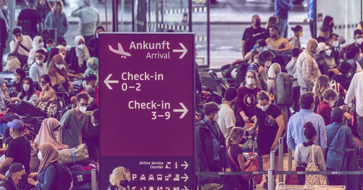 Spanien Unter Schock Riesen Kakerlake Alarm Was Urlauber Schützen Muss - dy0dc0u