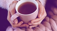 Guayusa-Tee: Warum dich dieser leckere Tee besser wach hält als Kaffee